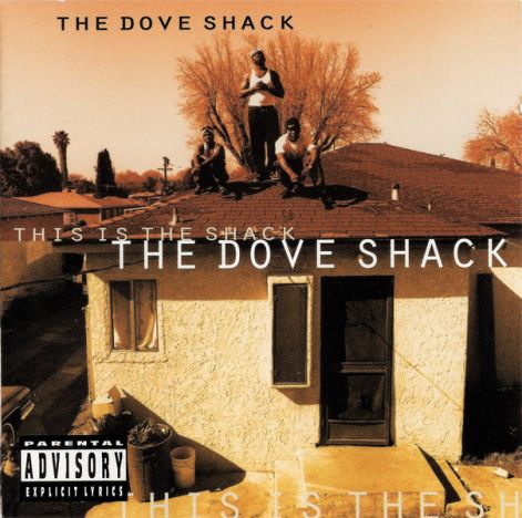 the_dove_shack_-_this_is_the_shack.jpg